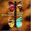 David Lanz - Convergence