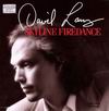David Lanz - Skyline Firedance [CD 1] - Orchestral Works