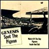 Genesis - Spot the Pigeon