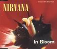 Nirvana - In Bloom (Selected Tracks)